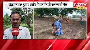 Wardha Rain | वर्ध्यात पावसाची दडी, शेतकऱ्यांवर तिबार पेरणी करण्याची वेळ | NDTV Marathi