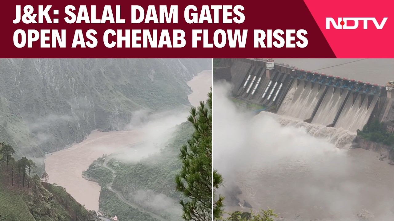 Flood News | Heavy Rain In Reasi Raises Chenab's Flow, All Gates Of Salal Dam Opened