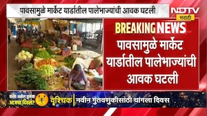 पुण्यात पावसामुळे मार्केट यार्डातील पालेभाज्यांची आवक घटली, पालेभाज्या 10 ते 20 टक्क्यांनी महाग