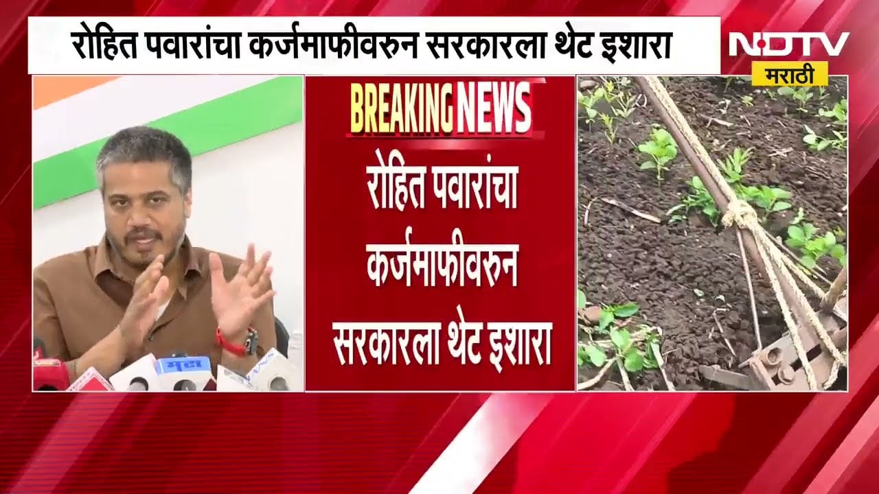 "शेतकरी कर्जमाफीबाबत 'तारीख पे तारीख'चा खेळ नको, दिल्लीत सरकारची फजिती सुरु आहे बघतायत ना?" - Pawar