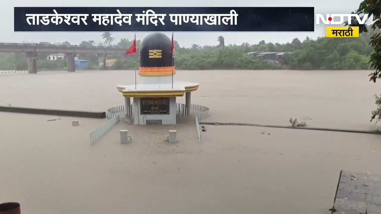 Rain Update | नवसारी जिल्ह्यात चिखली तालुक्यात मुसळधार, कावेरी नाडीची पाणीपातळी वाढली ।  NDTV मराठी