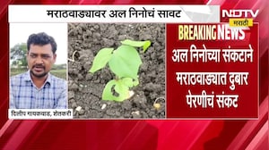 Rain Update | अल निनोच्या संकटाने मराठवाड्यावर दुबार पेरणीचं संकट | NDTV Marathi
