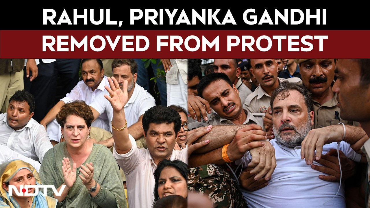 Rahul Gandhi News | Rahul, Priyanka Gandhi Removed From Protest Outside PM Modi's House