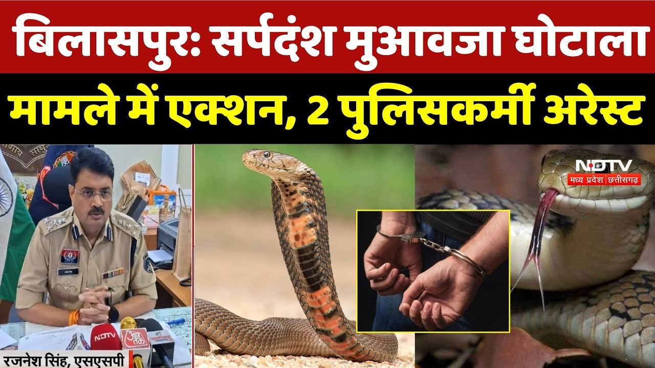 Bilaspur News: सर्पदंश मुआवजा घोटाला मामले में एक्शन, 2 पुलिसकर्मी Arrest | Chhattisgarh | Breaking
