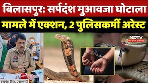 Bilaspur News: सर्पदंश मुआवजा घोटाला मामले में एक्शन, 2 पुलिसकर्मी Arrest | Chhattisgarh | Breaking