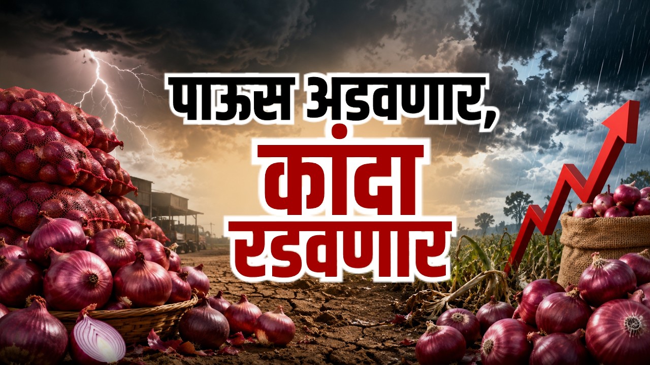 Special Report|पाऊस अडवणार,ऐन सणासुदीच्या दिवसात कांदा रडवणार;कांद्याच्या संभाव्य टंचाईची कारणं काय?