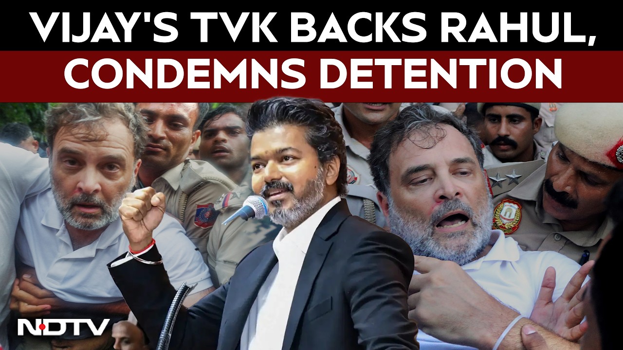 Vijay's TVK Calls Rahul Gandhi's Detention An Assault On Democracy