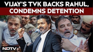 Vijay's TVK Calls Rahul Gandhi's Detention An Assault On Democracy