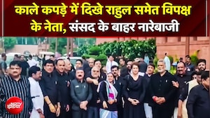काले कपड़ों में संसद पहुंचे Rahul-Priyanka 'इंडिया' गठबंधन का प्रदर्शन, खड़गे, प्रियंका का बड़ा हमला