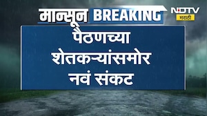 New crisis for Paithan । पैठणच्या शेतकऱ्यांसमोर नवीन संकट, डाळिंब बागेत 'तेल्या' रोगाचा प्रादुर्भाव