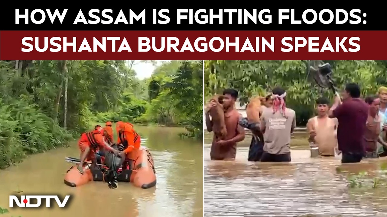 Assam Floods | How Assam Is Fighting Floods | Sushanta Buragohain Speaks to NDTV