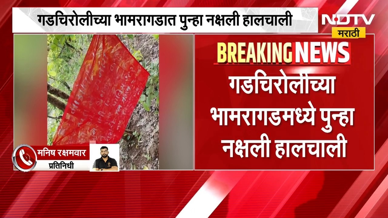 Gadchiroli | गडचिरोलीत पुन्हा नक्षली हालचाली, भामरागड हिदूर-दोबूर मार्गावर बॅनरबाजी