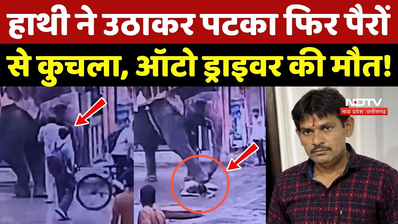 Indore Elephant Attack: हाथी ने उठाकर पटका फिर पैरों से कुचला, Auto Driver की मौत!