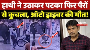 Indore Elephant Attack: हाथी ने उठाकर पटका फिर पैरों से कुचला, Auto Driver की मौत!