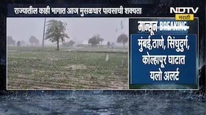 Rain Alert | रायगड, पुणे सातारा घाट, रत्नागिरी सोबत महाराष्ट्र कुठे कुठे पावसाचा अलर्ट?