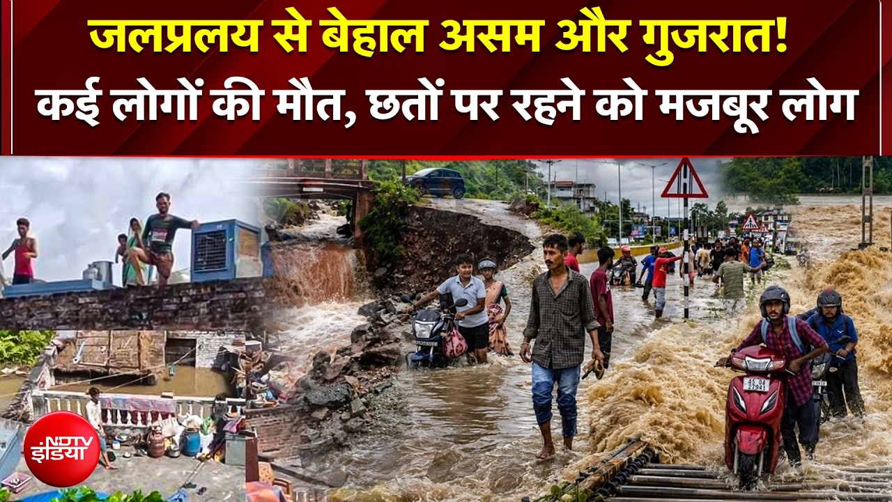 जलप्रलय से बेहाल असम और गुजरात 100 लोगों की मौत, छतों पर रहने को मजबूर लोग