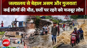जलप्रलय से बेहाल असम और गुजरात 100 लोगों की मौत, छतों पर रहने को मजबूर लोग