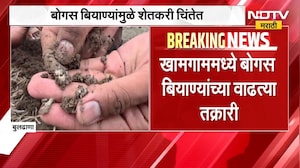 बोगस बियाण्यांमुळे शेतकऱ्यांना आर्थिक फटका, तक्रारीनंतर पंचनामे उशीर झाल्याने शेतकरी त्रस्त ।  NDTV