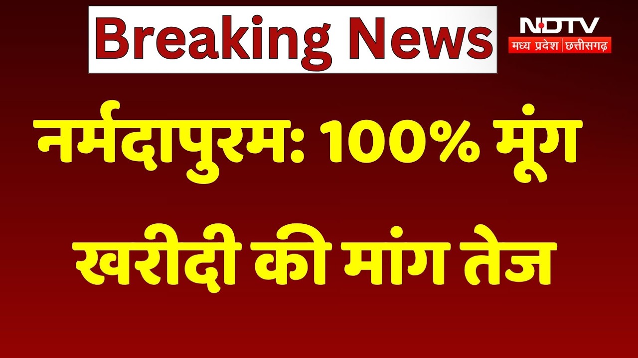 Narmadapuram Moong Procurement Demand: 100% मूंग खरीदी की मांग तेज, किसानों का सरकार से आग्रह