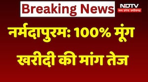 Narmadapuram Moong Procurement Demand: 100% मूंग खरीदी की मांग तेज, किसानों का सरकार से आग्रह