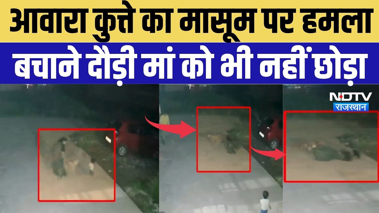 Baran Stray Dog Attack: आवारा कुत्ते का मासूम पर हमला, बचाने दौड़ी मां को भी नहीं छोड़ा | Top News
