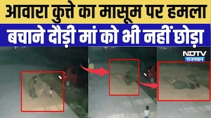 Baran Stray Dog Attack: आवारा कुत्ते का मासूम पर हमला, बचाने दौड़ी मां को भी नहीं छोड़ा | Top News