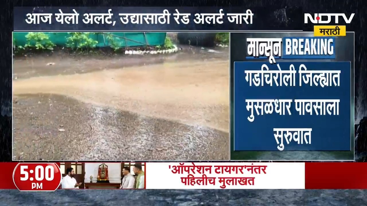 Gadchiroli Rain | गडचिरोलीत मुसळधार पावसाला सुरुवात, हवामान खात्याचा अंदाज काय?
