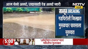 Gadchiroli Rain | गडचिरोलीत मुसळधार पावसाला सुरुवात, हवामान खात्याचा अंदाज काय?