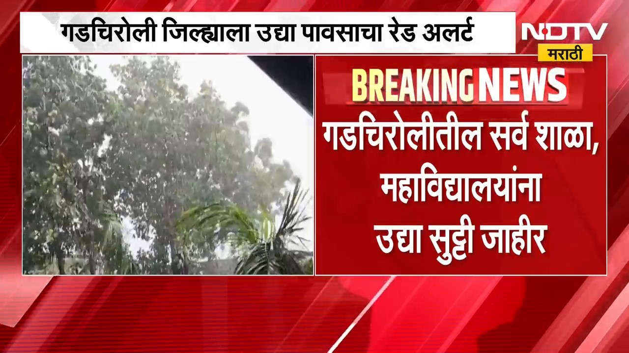 Gadchiroli Rain Update | गडचिरोलीला पावसाचा रेड अलर्ट, शाळा आणि महाविद्यालयांना सुट्टी जाहीर