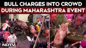 Bull Charges Into Crowd During Maharashtra Event, Six Hurt