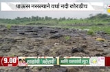 Wardha Rains News | जुलै महिना संपत आला तरी अजूनही वर्धा नदीचे पात्र कोरडेच, पाऊस नसल्याने नदी कोरडी