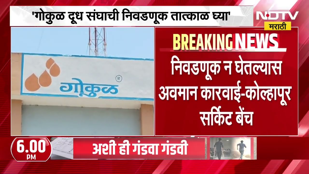 Gokul दूध संघाची निवडणूक तात्काळ घ्या, Kolhapur सर्किट बेंचचे आदेश | NDTV मराठी