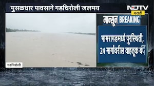 Gadchiroli Rain| मुसळधार पावसाने गडचिरोली जलमय, भामरागडमध्ये पूरस्थिती; 700 नागरिकांचं स्थलांतर
