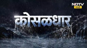 Yavatmal जिल्ह्यातील नेर तालुक्यात मुसळधार पाऊस, मोझर व पिंपळगाव गावांना पाण्याचा वेढा