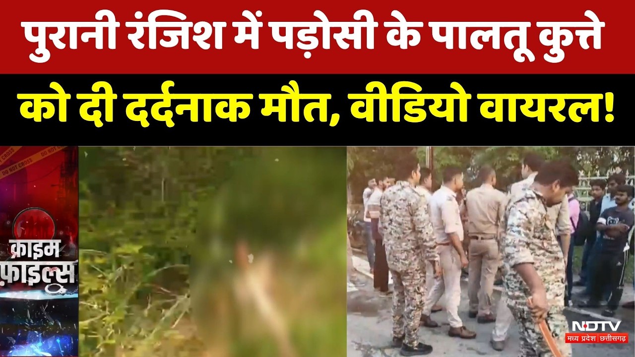 Bhind Crime:पुरानी रंजिश में पड़ोसी के पालतू कुत्ते को दी दर्दनाक मौत | Viral Video | Animal Cruelty