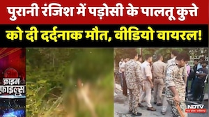 Bhind Crime:पुरानी रंजिश में पड़ोसी के पालतू कुत्ते को दी दर्दनाक मौत | Viral Video | Animal Cruelty