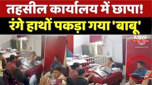 Lokayukta Bribery Case: तहसीलदार कार्यालय का बाबू रिश्वत लेते रंगे हाथों गिरफ्तार | Narsinghpur News
