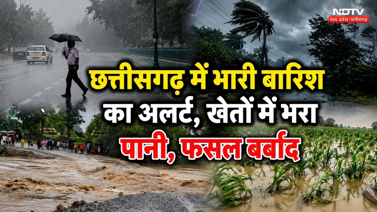 Chhattisgarh Heavy Rain Alert: भारी बारिश का अलर्ट, खेतों में भरा पानी, फसल बर्बाद | CG Weather News