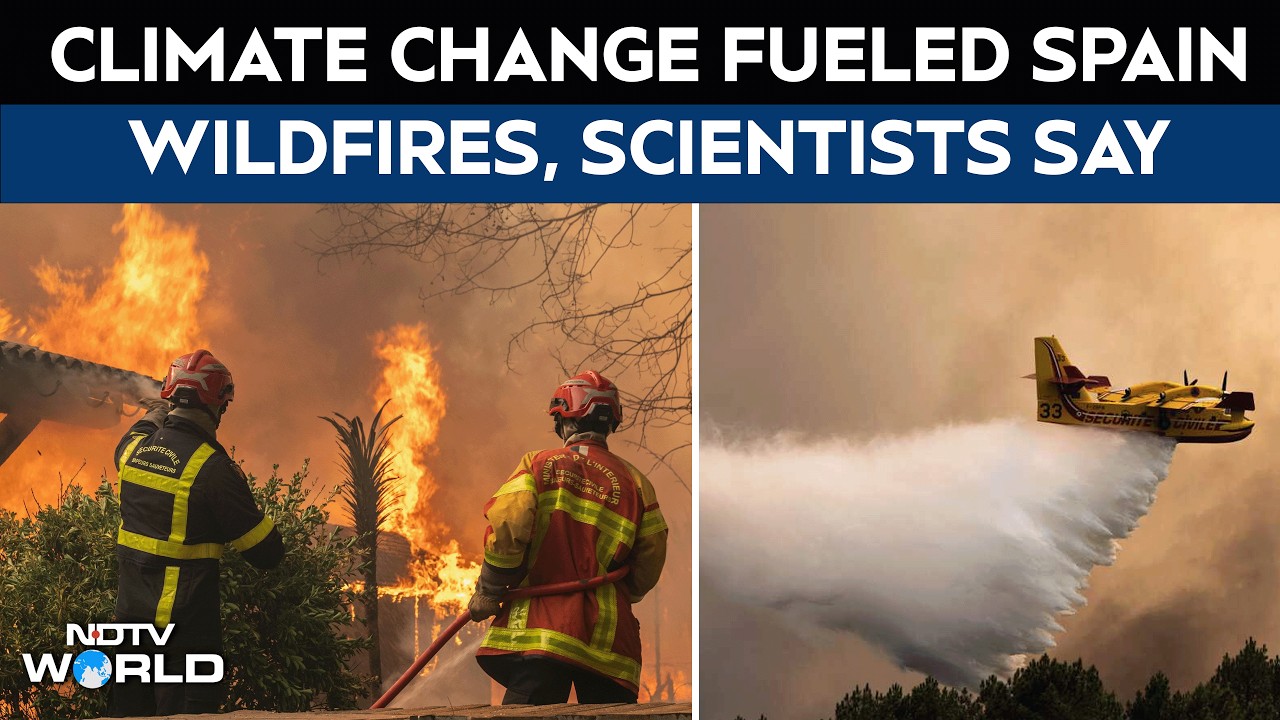 Spain Wildfires | Spain Wildfires Threaten Villages; Scientist Blames Human Caused Climate Change