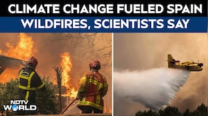 Spain Wildfires | Spain Wildfires Threaten Villages; Scientist Blames Human Caused Climate Change