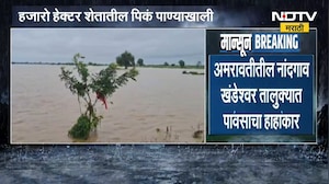 Amravati Heavy Rain | अमरावती जिल्ह्यात पावसाचा हाहाकार, हजारो हेक्टर शेतातील पिकं पाण्याखाली