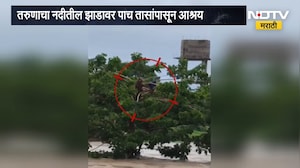 Jalgaon Flood | मासेमारीसाठी गेला अन् झाडावर अडकला, जळगावमध्ये काय घडलं? | NDTV Marathi