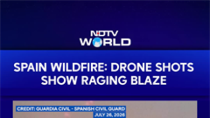 Spain Wildfire News: Drone Footage Shows Massive Blaze, Burnt Forests Near Madrid