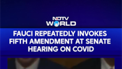 Dr. Fauci Refuses To Answer Senate's Questions As He Invokes Fifth Amendment At COVID Hearing
