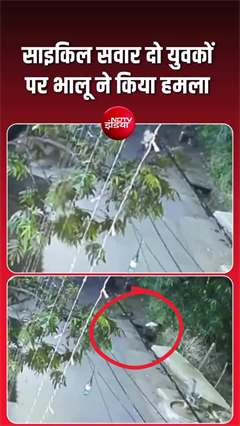 ओडिशा में भालू का आतंक! साइकिल सवार दो युवकों पर हमला, CCTV में कैद हुई घटना