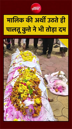 मालिक के साथ पालतू कुत्&zwj;ते ने भी तोड़ा दम, साथ उठी अर्थी