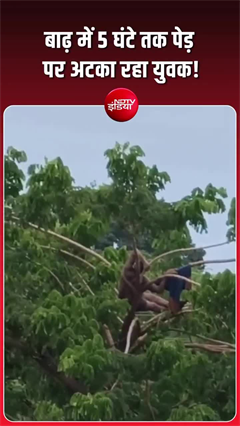मछली पकड़ने गया युवक बाढ़ में फंसा, नदी के बीच पेड़ पर बिताए कई घंटे