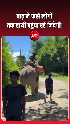 अरुणाचल की बाढ़ में हाथी बने जीवनरेखा, राहत सामग्री पहुंचाने में निभा रहे अहम भूमिका