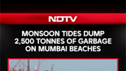 Monsoon Tides Dump 2,500 Tonnes Of Garbage On Mumbai Beaches