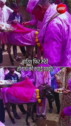 बारिश के लिए गधों की कराई शादी, महाराष्ट्र के गांव में निकली अनोखी बारात